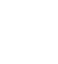 Logo Kinesiologie BK DGAK zertifiziert